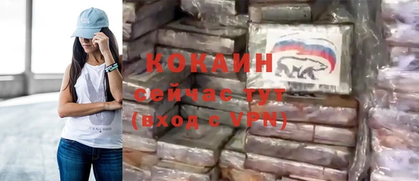 гидра Белокуриха