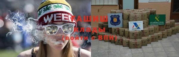гидра Белокуриха