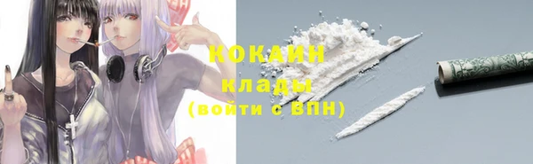 гидра Белокуриха