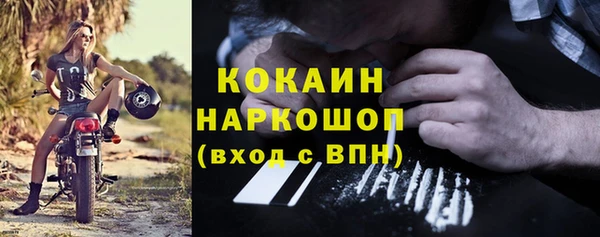гидра Белокуриха