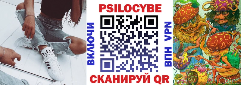 где купить наркотик  Володарск  ссылка на мегу ссылка  Псилоцибиновые грибы Psilocybine cubensis 