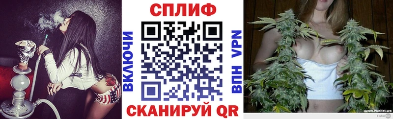 блэк спрут зеркало  Володарск  Конопля индика 